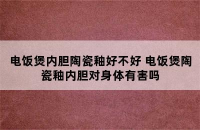 电饭煲内胆陶瓷釉好不好 电饭煲陶瓷釉内胆对身体有害吗